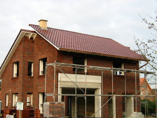 s�dliches Pultdach (Gartenseite)